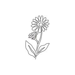 One continuous line drawing of beauty fresh calendula for home decor wall art poster print. Printable decorative marigold flower concept. Modern single line draw design graphic vector illustration