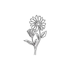 One continuous line drawing of beauty fresh calendula for garden logo. Printable decorative marigold flower concept for home wall decor poster art. Modern single line draw design vector illustration