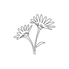 Single continuous line drawing of beauty fresh perennial plant for home decor wall art poster. Printable decorative aster flower for wedding invitation card. One line draw design vector illustration