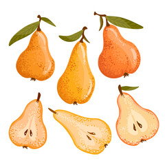 Collection of yellow pears with leaves, pear slices on a white background