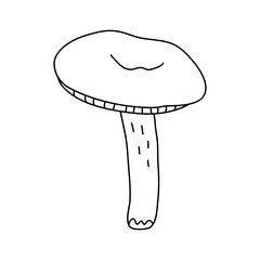 Russula mushroom in doodle style. Isolated outline. Hand drawn vector illustration in black ink on white background.