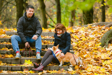 Happy couple playing with Corgi dog in sunny autumn park. Man and woman having fun outdoors with pet.