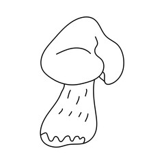 Forest edible mushroom in doodle style. Isolated outline. Hand drawn vector illustration in black ink on white background.