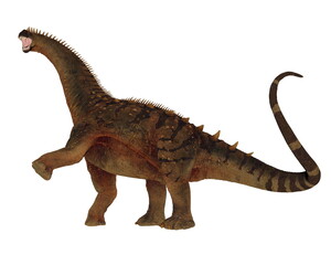 Alamosaurus dinosaur roaring leg up isolated in white background - 3D render