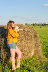 Naklejka na ściany i meble female model plus size drinking milk on a field with haystacks, a beautiful young woman with brown hair in short shorts and a white shirt, harvest concept