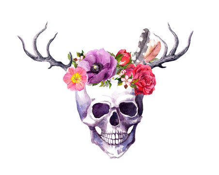 Human skull with horns of deer, flowers, feathers in vintage boho style. Watercolor for Death day