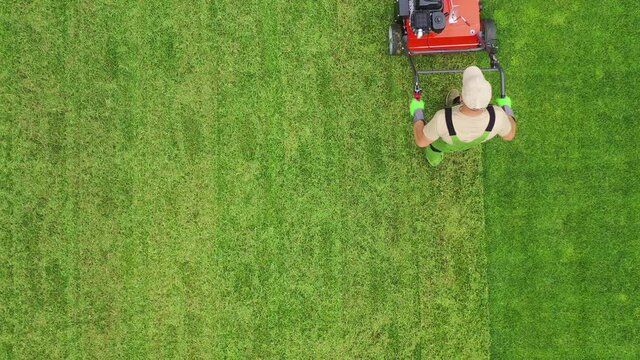 Aerial View Of Adult Male Gardener Slowly And Carefully Aerating Lawn In Straight Pattern. Yard Work In Summer. 