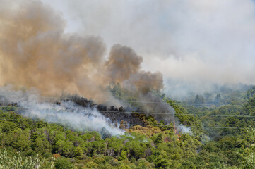 Mountain in south Italy burning, fire fighter trying to limit the spread of the flames.