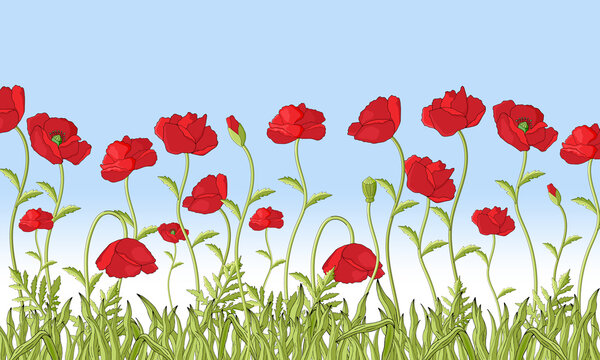 Red Poppies Field.Green field red poppies.Holiday greeting card. Hand drawing Vector illustration.