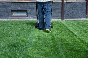 Emerald green lawn mowing landscape maintenance 