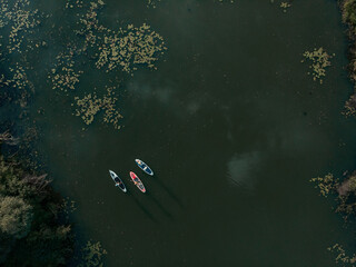 Top view of tourists on lake with SUP-boards. Beautiful clear water with people floating on boards engaged in sup-surfing. Seascape with people rowing on boards on background horizon