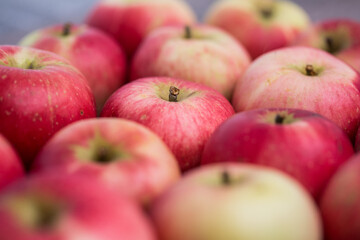 Organic apple seen from the side