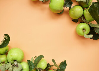 Garden apples on the table, a bunch of fresh Apple fruits on a natural background, autumn harvest concept