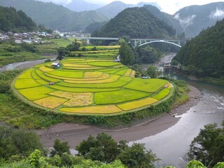 あらぎ島の棚田　9月の雨の日