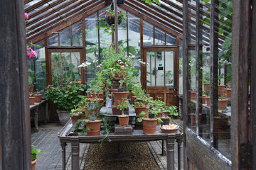 Entourage of botanical garden glass greenhouse with plants pots and garden stuff plant exposure - obrazy, fototapety, plakaty