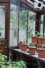 Fototapeta na wymiar Entourage of botanical garden glass greenhouse with plants pots and garden stuff plant exposure