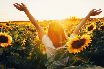 Sunny beautiful picture of young cheerful girl holding hands up in air and looking at sunrise or sunset. Stand alone among field of sunflowers. Enjoy moment.