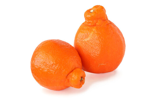 Two mineolas isolated on white