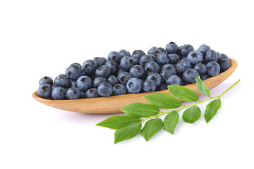 Blueberries in a wooden bowl with sprig  isolated on white