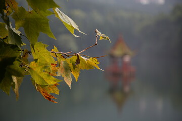 Leaves and pavilion by the lake