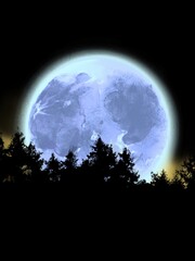 Fototapeta na wymiar Creepy full moon over silhouette of northern forest
