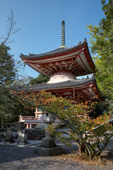 Tahoto (Many-jewelled pagoda) of Chion-in temple complex. Kyoto. Japan