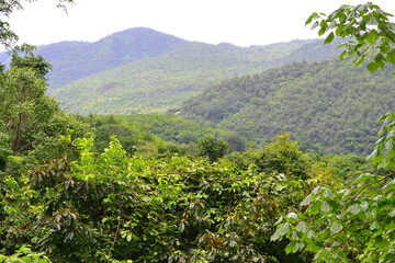 Kanchanaburi, Thailand: June 23, 2013: Panoramic view to the mountains in Erawan National Park