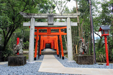 Fototapeta na wymiar Entrance of torii gates at inari jinja of Suwa Shrine in Nagasaki.