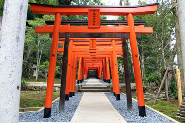 Line of orange torii gates at inari jinja of at Suwa Shrine in Nagasaki.