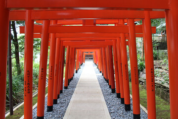 Fototapeta na wymiar Line of orange torii gates at inari jinja of at Suwa Shrine in Nagasaki.