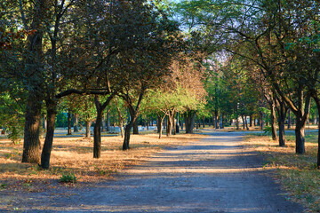 nature, a trail in the city Park early in the morning, bright sunlight and long shadows of trees