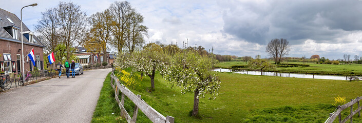 Panorama of houses and a road on a dike in Deil, Betuwe, Gelderland, along the Linge river in springtime, with flowering apple trees and hikers.