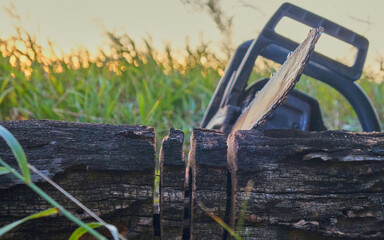 sawing logs with a chainsaw against the sunset