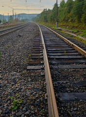 Fototapeta premium Railway tracks go into the forest after the rain 