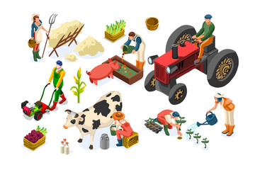 Farm worker production on planting or animals. Working organic farmer on tractor, agricultural people and fruits. Women on garden work harvest garden fruit. Agricultural worker farmer working on plant