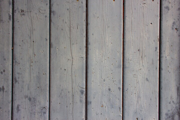 Gray uniform wood texture