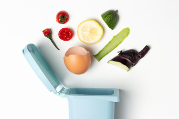 Organic waste and trash can on white background close-up
