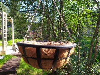 Flower pot in the yard