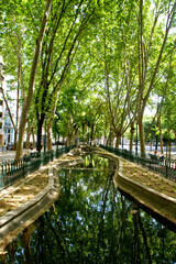 Fototapeta na wymiar Avenida da Liberdade garden in Lisbon, Portugal