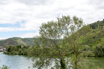 View of the Moselle, Rhineland-Palatinate Germany