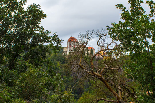View of Castle Vranov nad Dyji over a dry tree