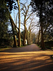 CALDAS DA RAÍNHA - PORTUGAL / 2019 -01 -06 - Parque Dom Carlos I, natureza e antigo prédio
