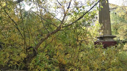 September of Russia abandoned place, North of Russia