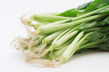 小松菜の根