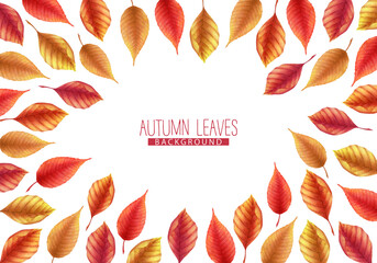 Watercolor Illustration with hand drawn colorful autumn leaves isolated on white background. Botanical background design for card, poster, print, packaging