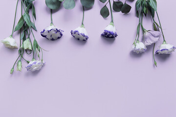 Beautiful  flowers on pastel background . Minimal style composition.
