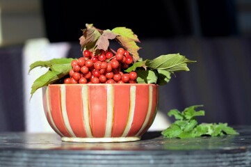 Ripe Red Berries of Viburnum (Viburnum Opulus) with Leaves Small Branches in Bright Ceramic Bowl on Metal Table Autumn Background