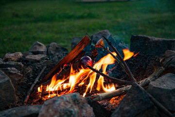 camp fire bbq in nature