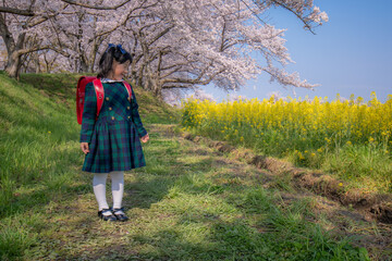 ランドセルの女の子
