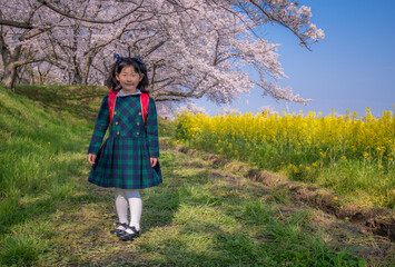 ランドセルの女の子